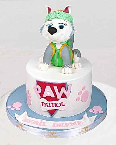 Paw Patrol Rocky Doğum Günü Pastası